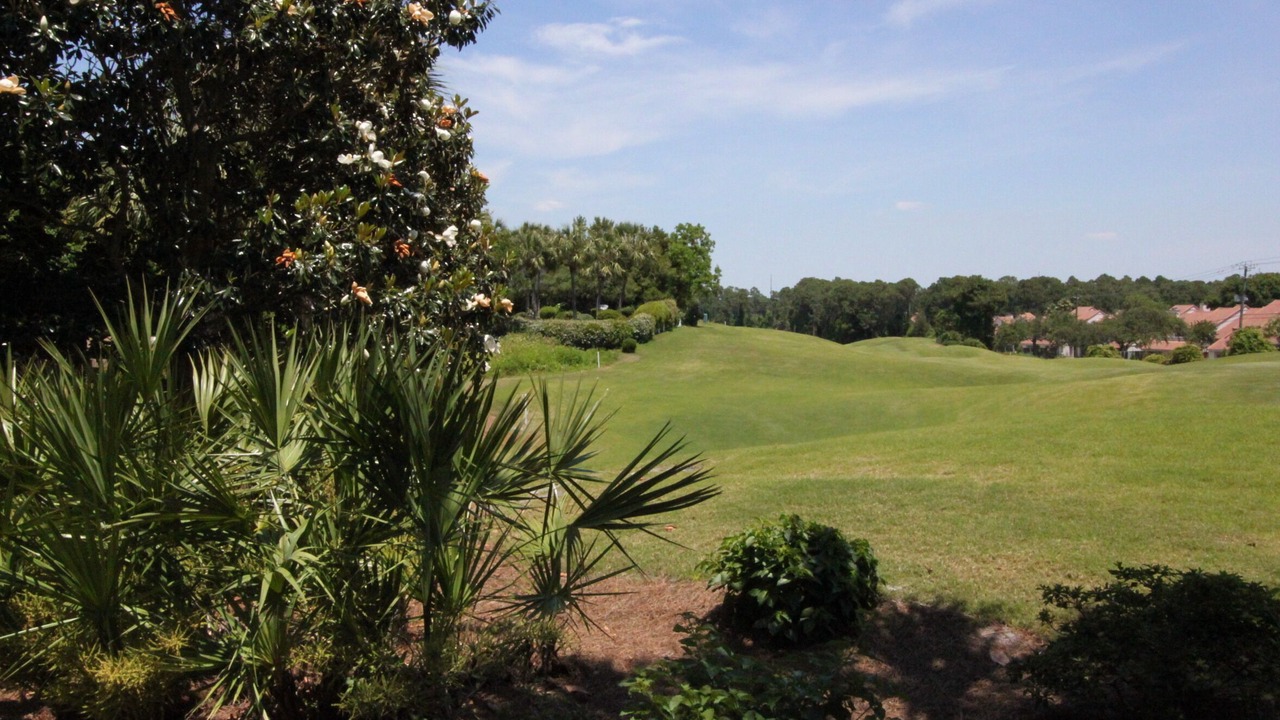 Photo of Outdoor in Sandestin