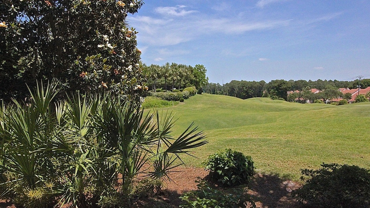 Photo of Outdoor in Sandestin