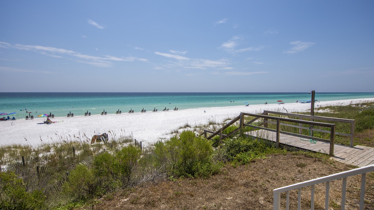 Photo of Others in Dune Allen Beach