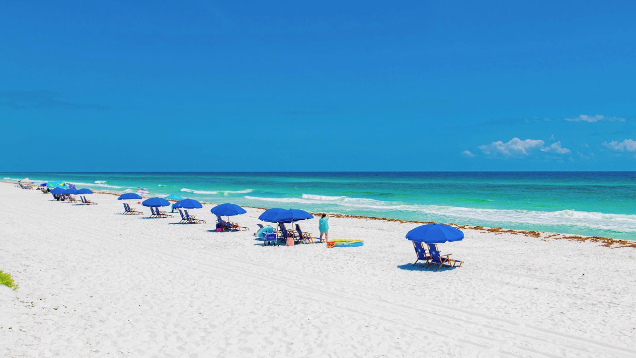 Photo of Others in Pensacola Beach