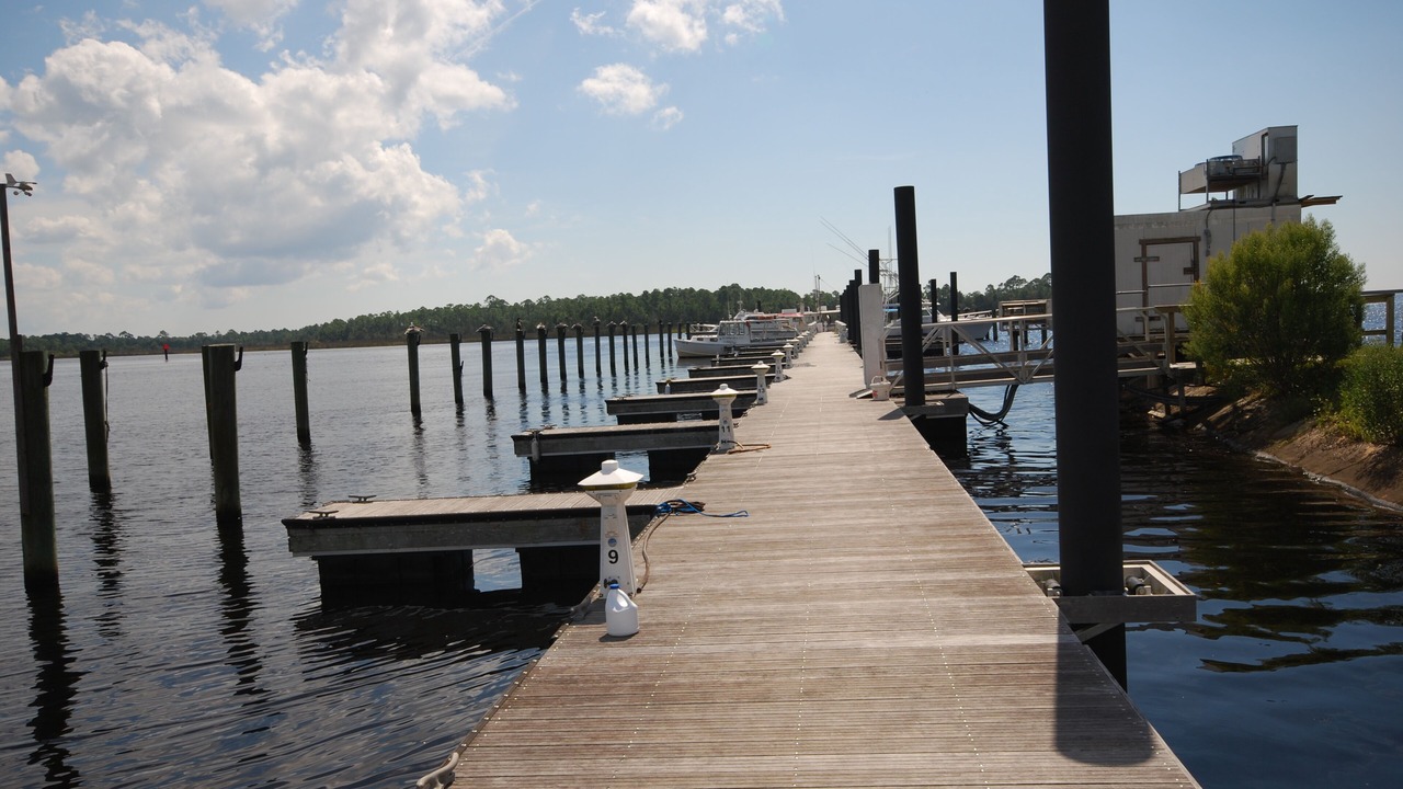 Photo of Others in Steinhatchee