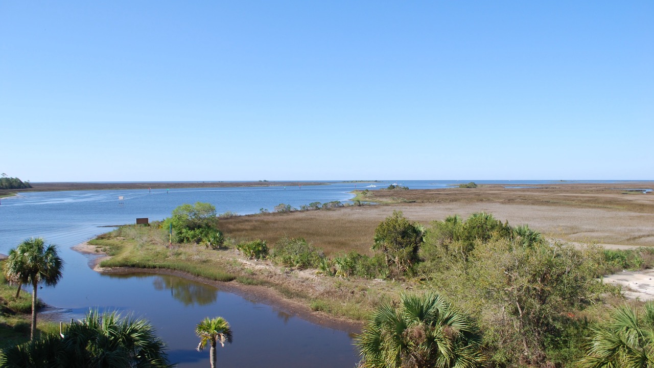 Photo of Others in Steinhatchee