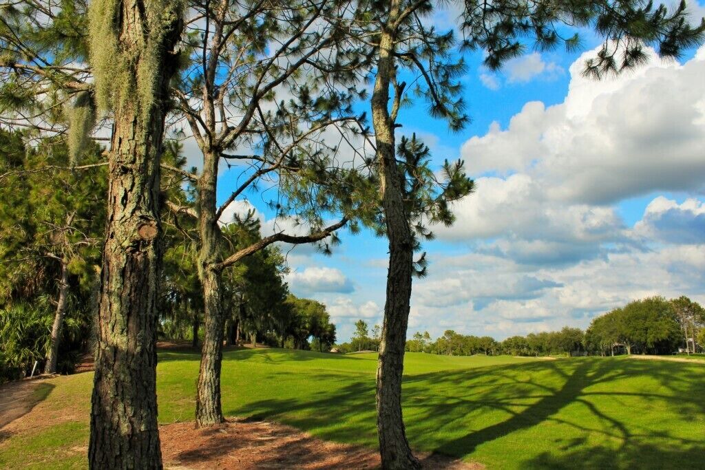 Photo of Outdoor in Haines City
