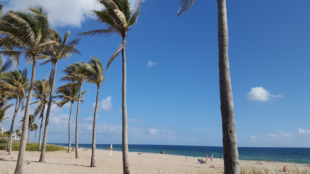 Photo of Others in Fort Lauderdale
