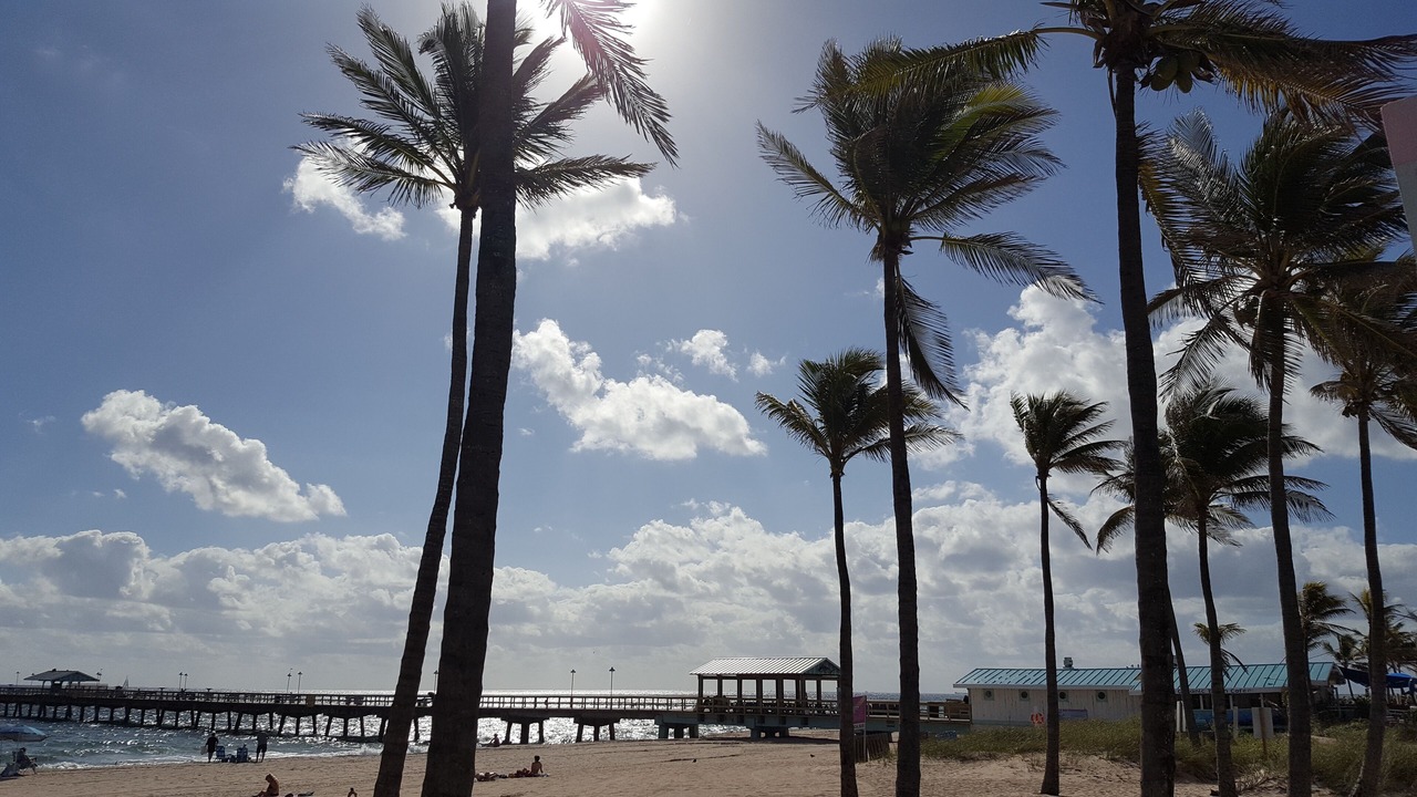Photo of Others in Fort Lauderdale