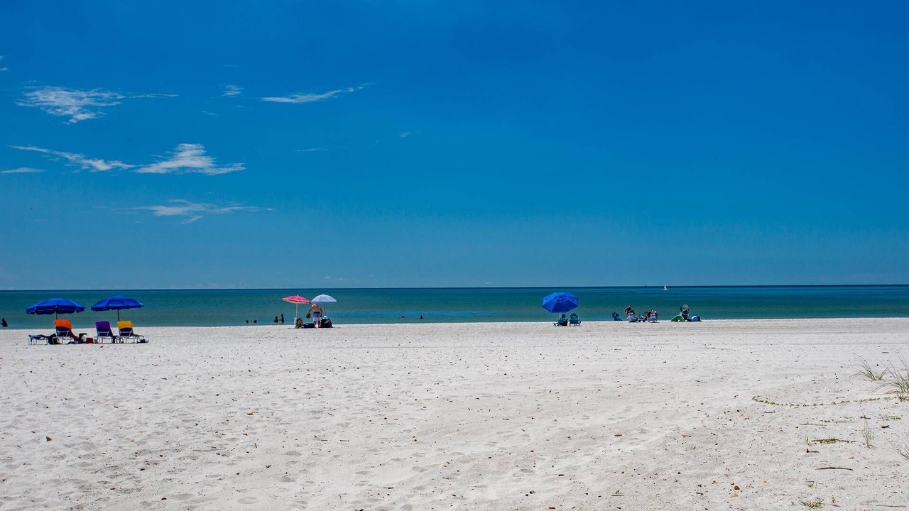 Photo of Others in Madeira Beach