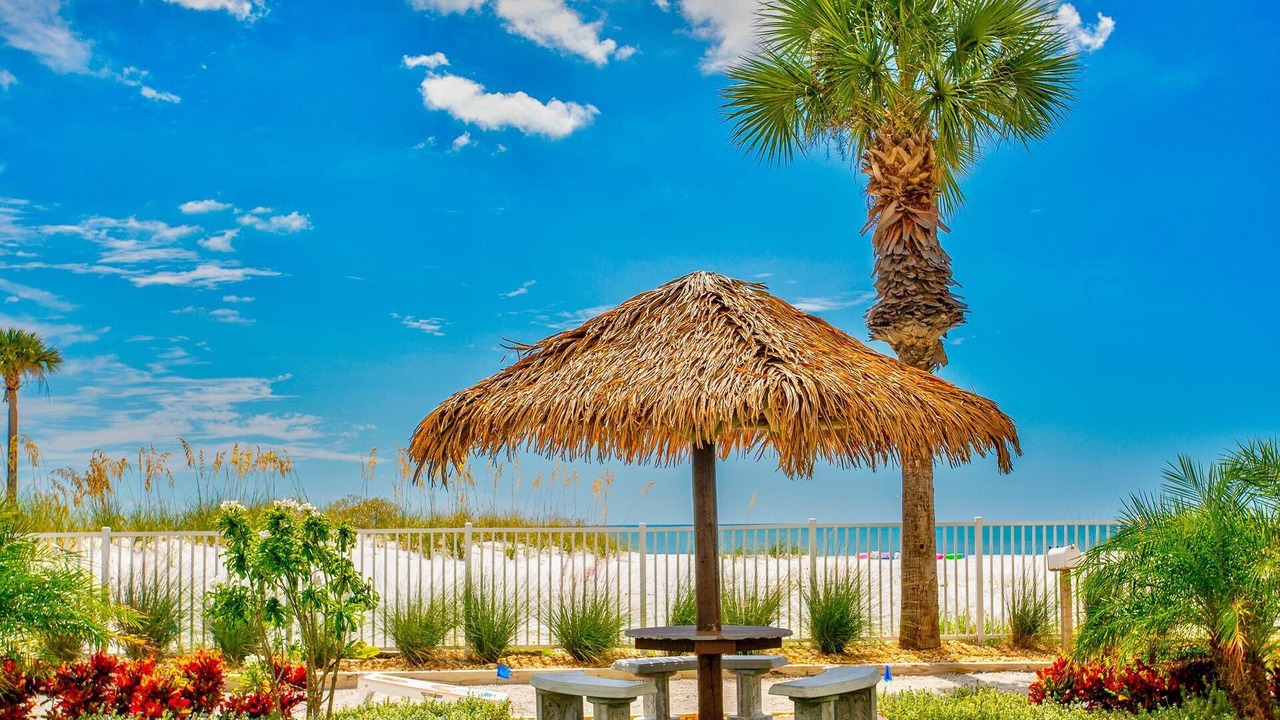 Photo of Outdoor in Madeira Beach