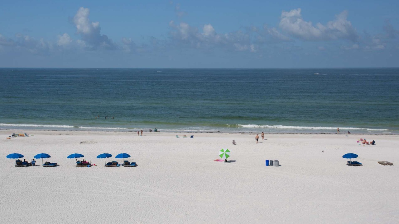 Photo of Others in Madeira Beach