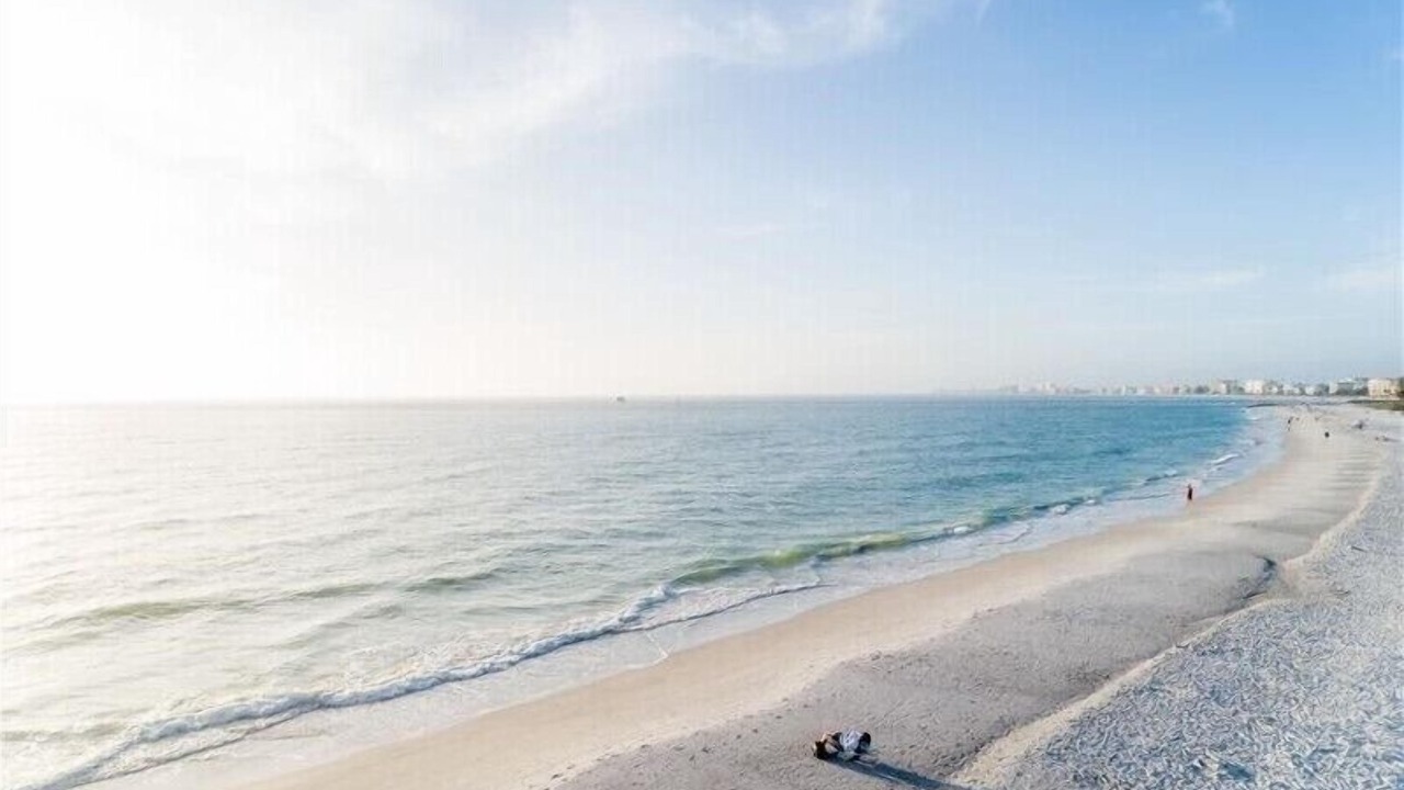 Photo of Others in Treasure Island