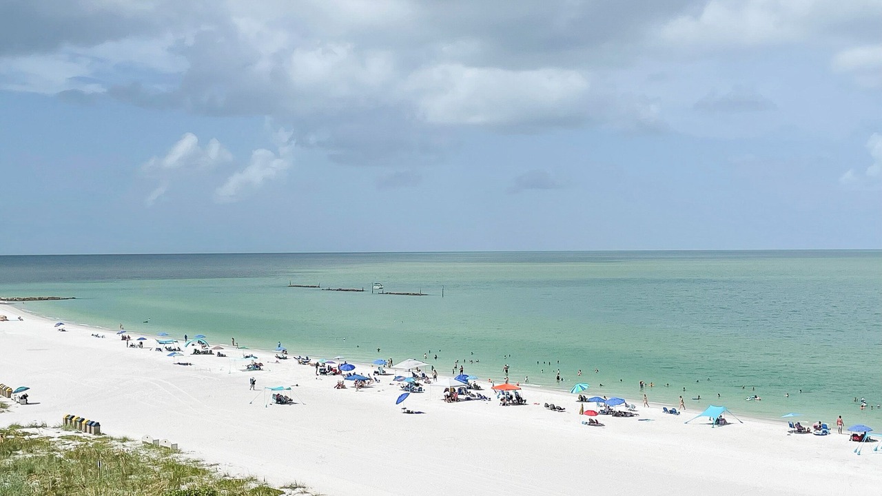 Photo of Others in Marco Island