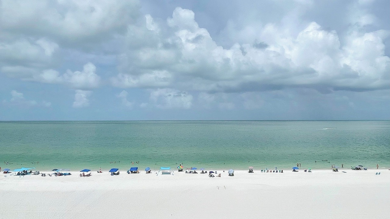 Photo of Others in Marco Island