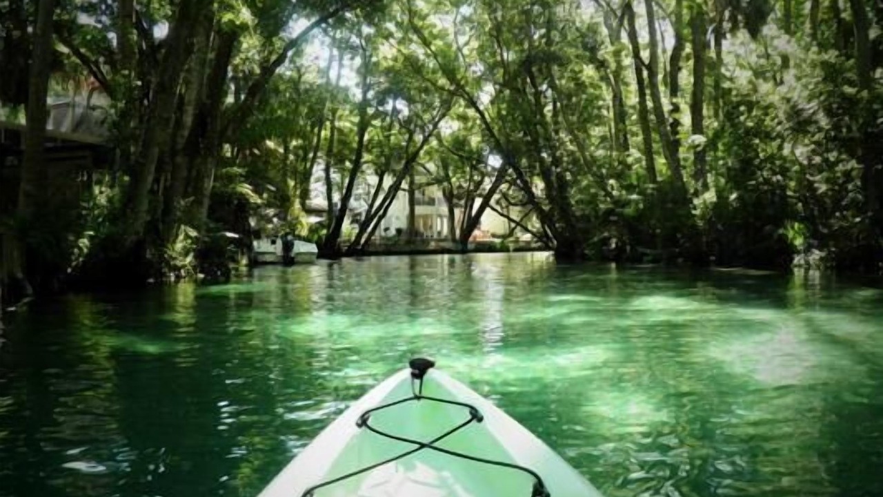 Photo of Outdoor in Weeki Wachee Gardens