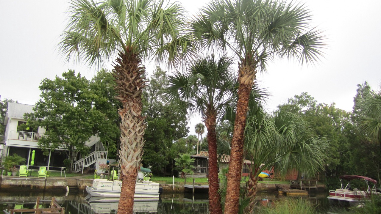 Photo of Others in Weeki Wachee Gardens