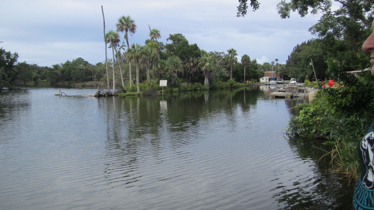 Photo of Outdoor in Weeki Wachee Gardens