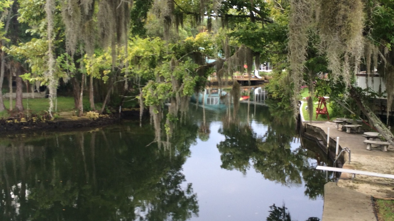 Photo of Outdoor in Weeki Wachee Gardens