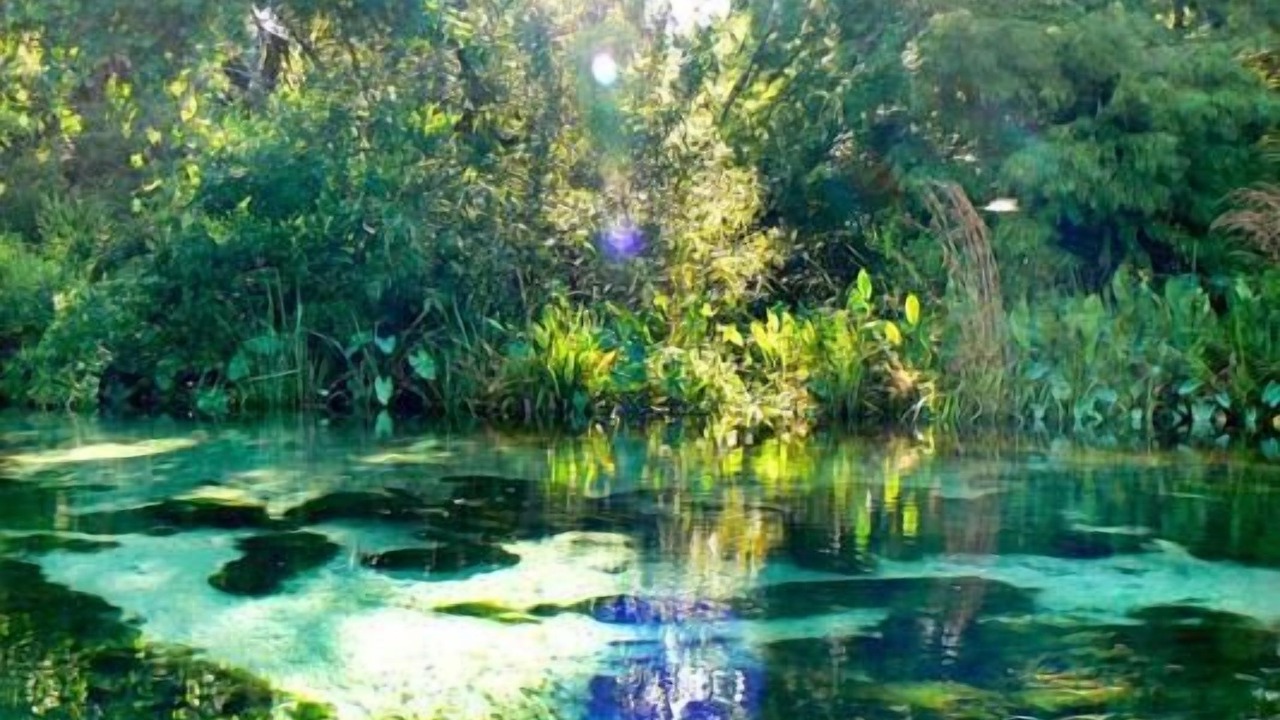 Photo of Outdoor in Weeki Wachee Gardens