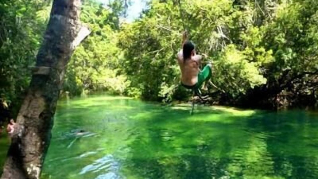 Photo of Others in Weeki Wachee Gardens