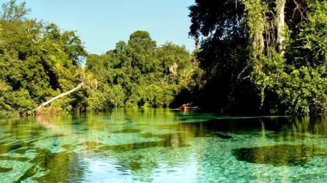 Photo of Outdoor in Weeki Wachee Gardens