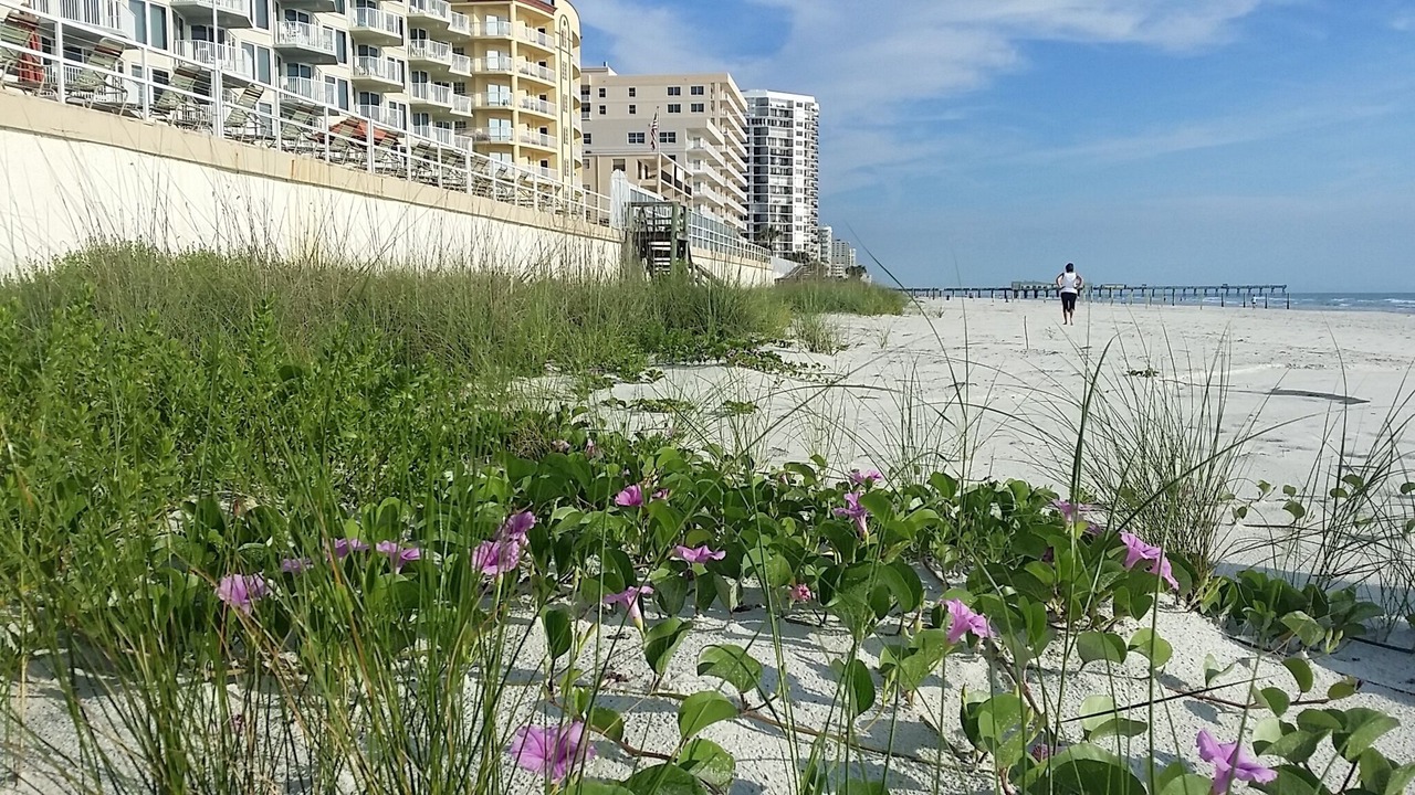 Photo of Others in Daytona Beach Shores