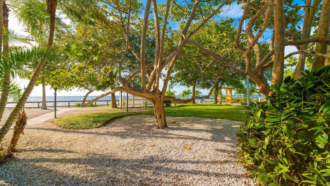 Photo of Outdoor in Ruskin