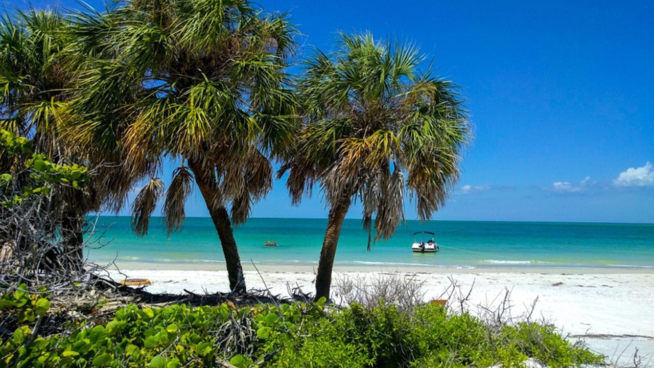 Photo of Others in West Bradenton