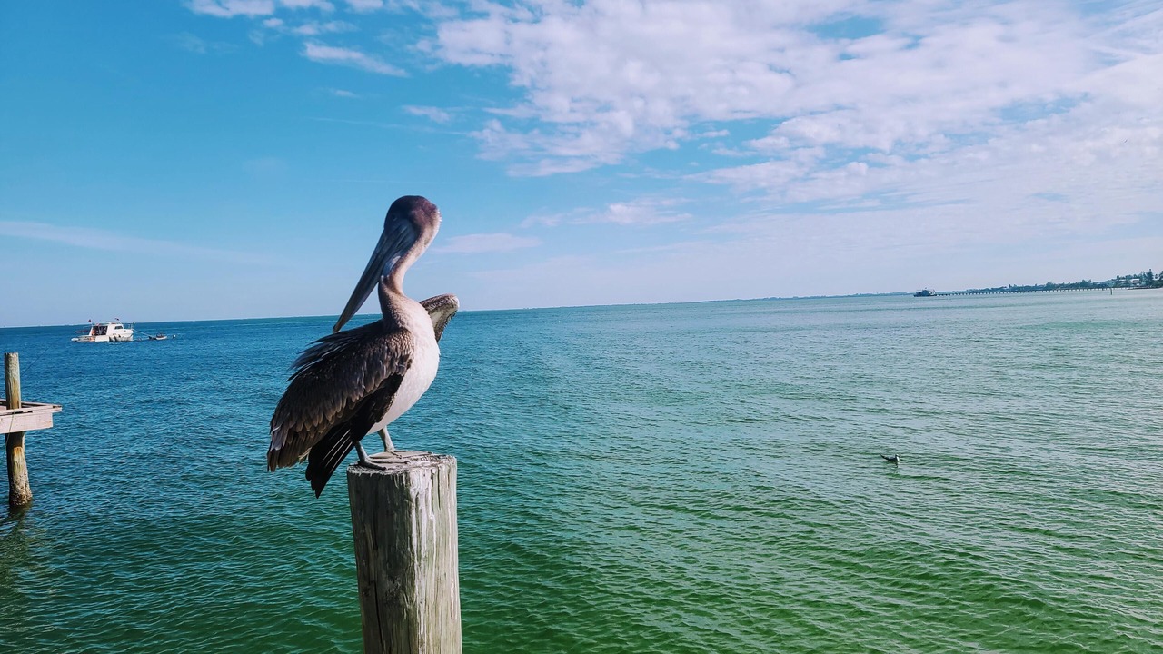 Photo of Others in West Bradenton