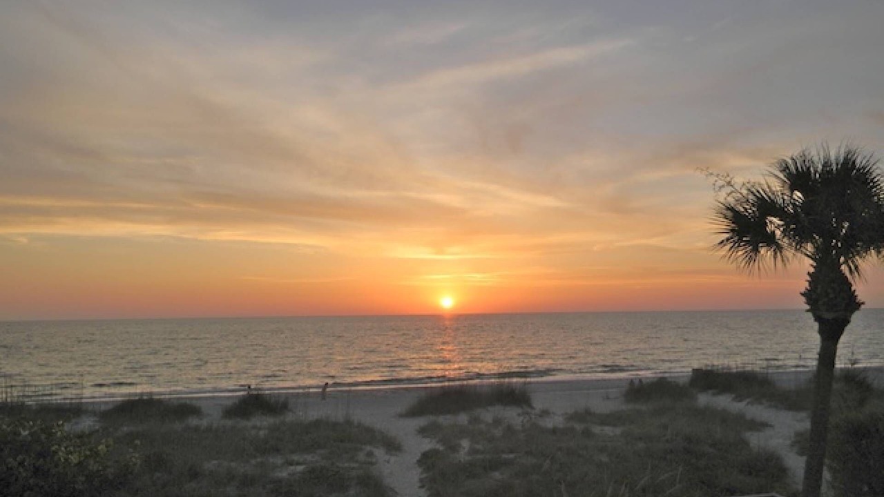 Photo of Others in Indian Rocks Beach