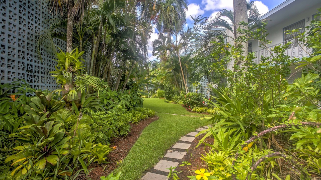 Photo of Outdoor in Old Naples