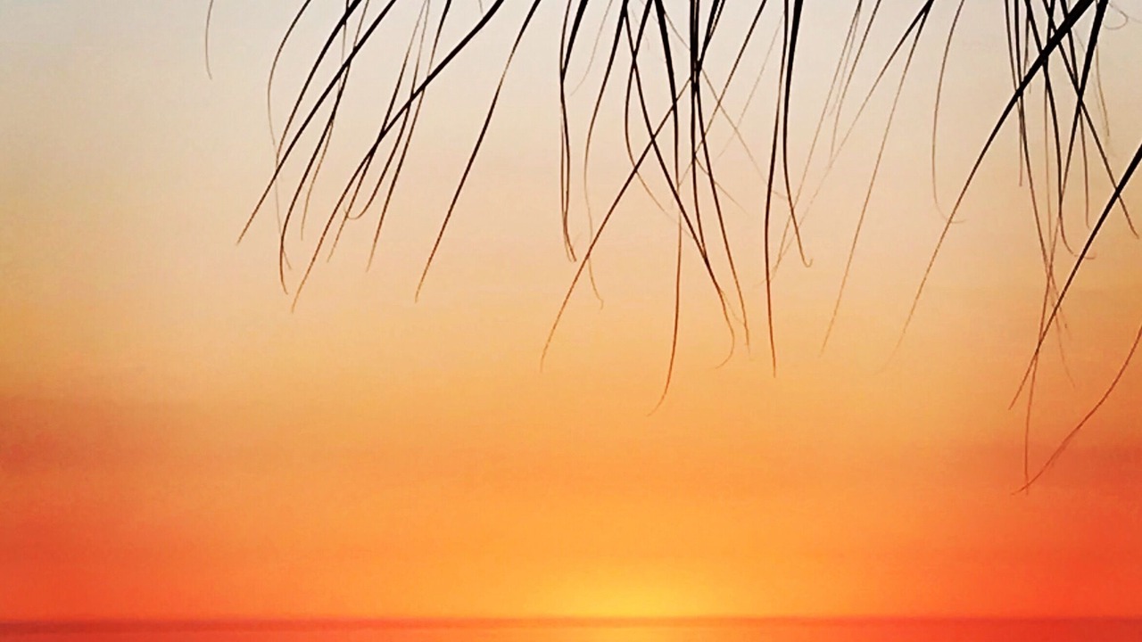 Photo of Others in Madeira Beach