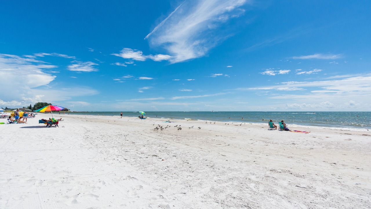 Photo of Others in Madeira Beach