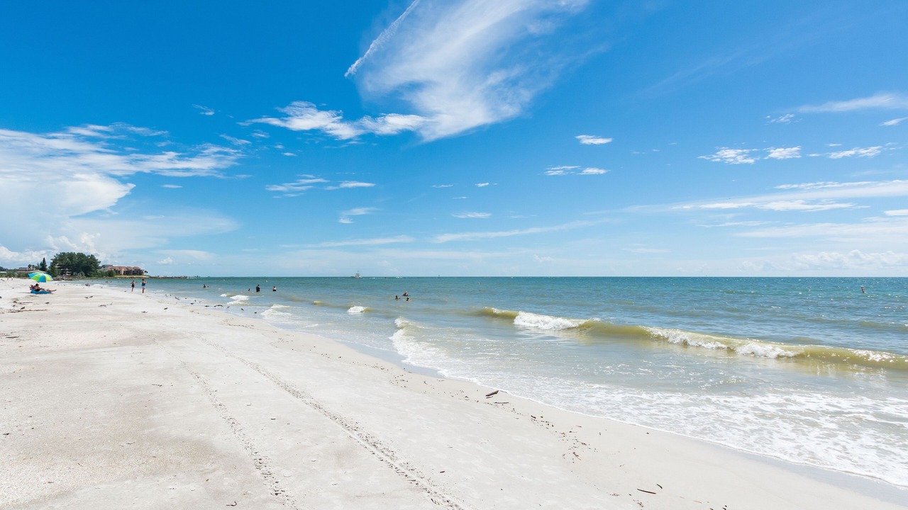 Photo of Others in Madeira Beach