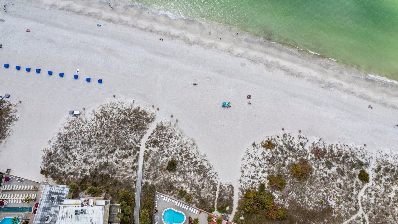 Photo of Others in Madeira Beach