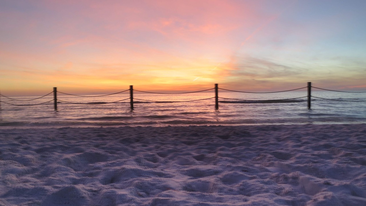 Photo of Others in Madeira Beach