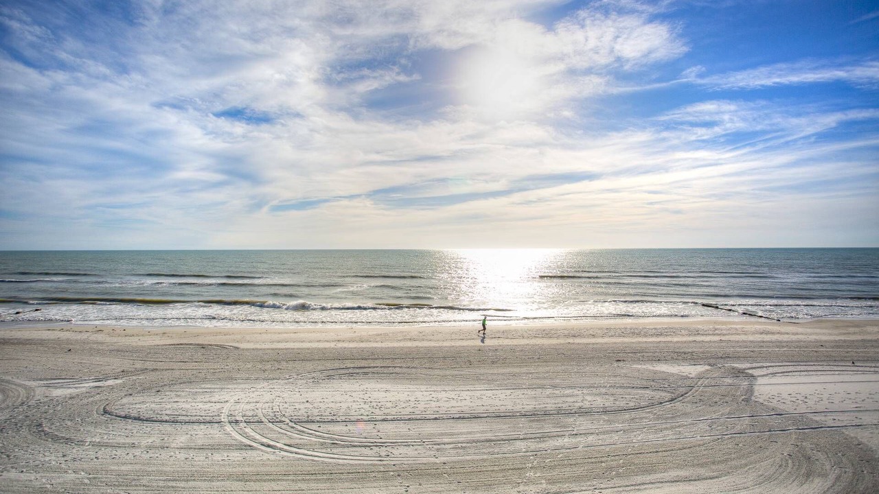 Photo of Others in Madeira Beach