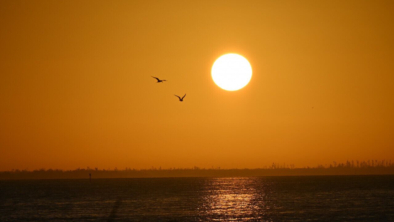 Photo of Others in North Captiva