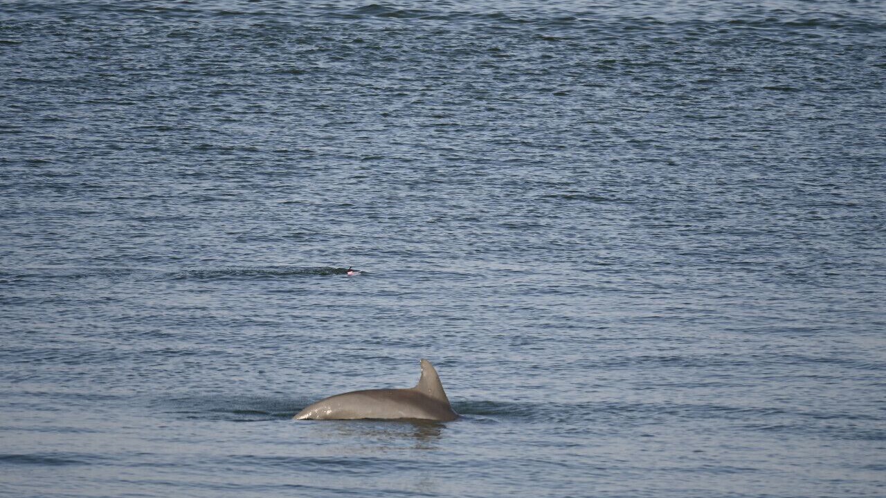Photo of Others in North Captiva