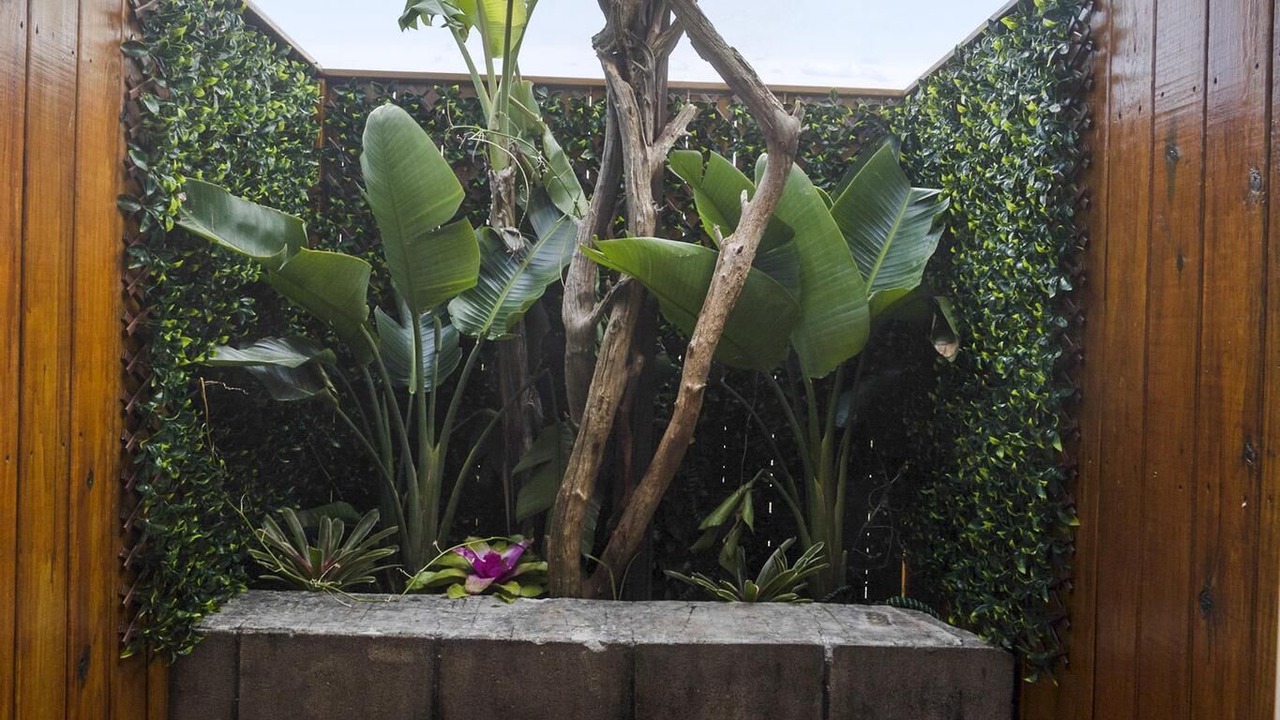 Photo of Outdoor in Villa Segunda
