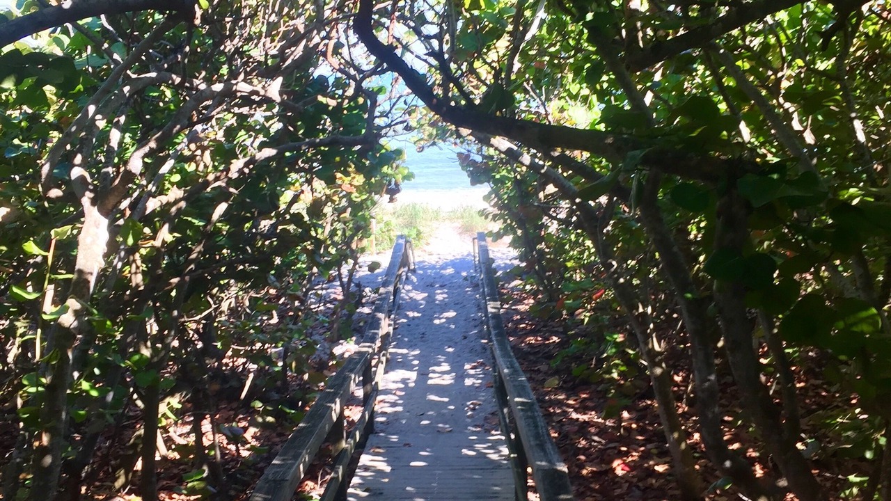 Photo of Outdoor in Juno Beach