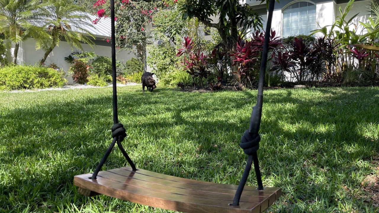 Photo of Outdoor in East Naples