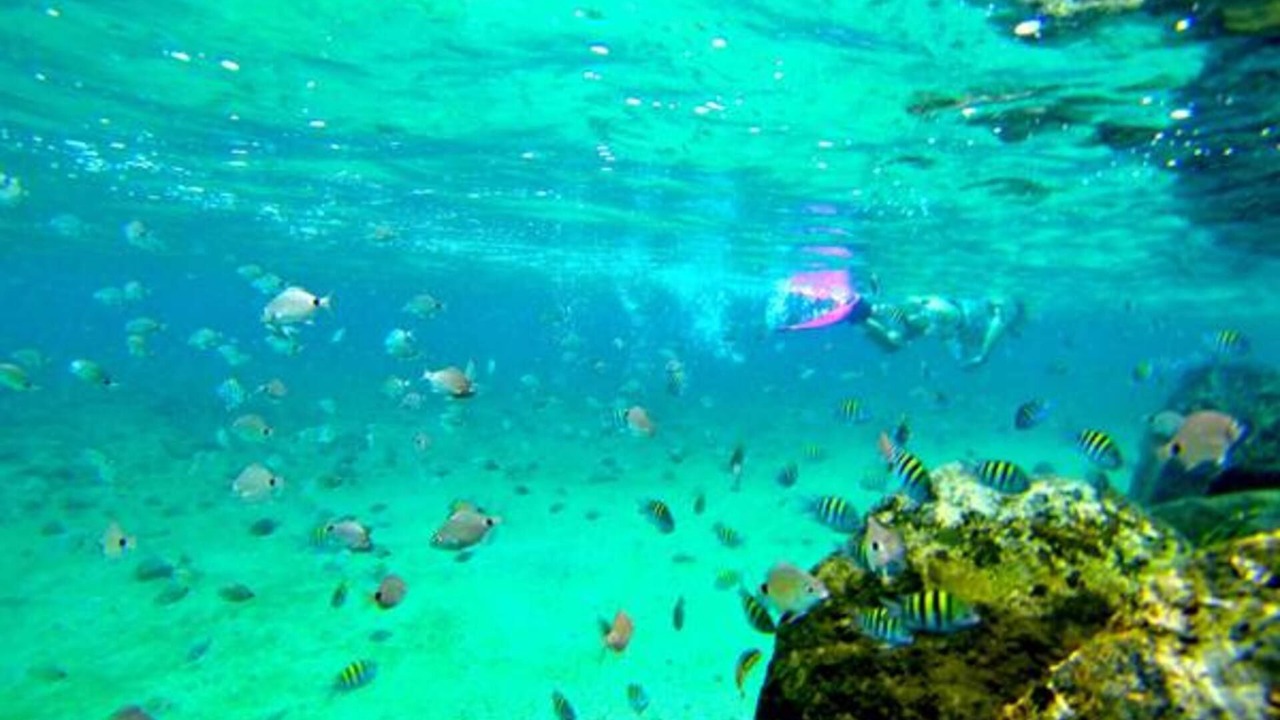Photo of Outdoor in Flamingo Parks