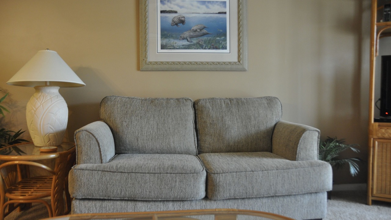 Photo of Livingroom in New Smyrna Beach