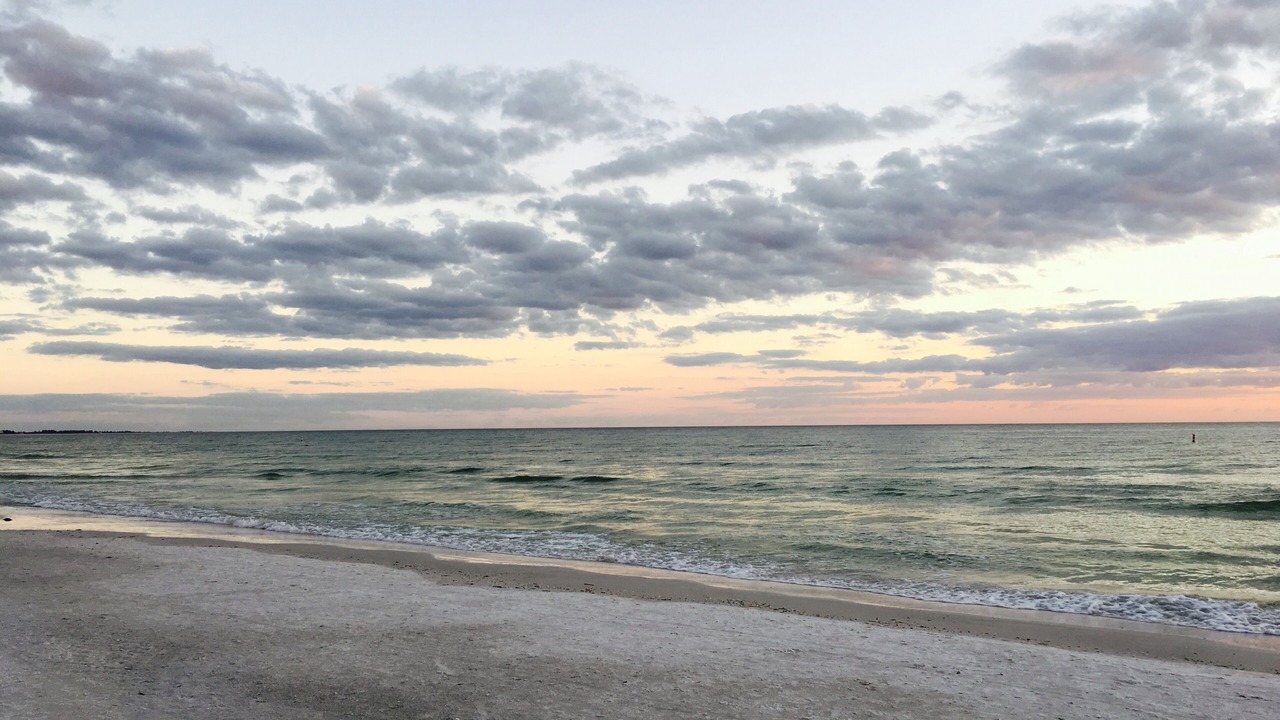 Photo of Others in Bradenton