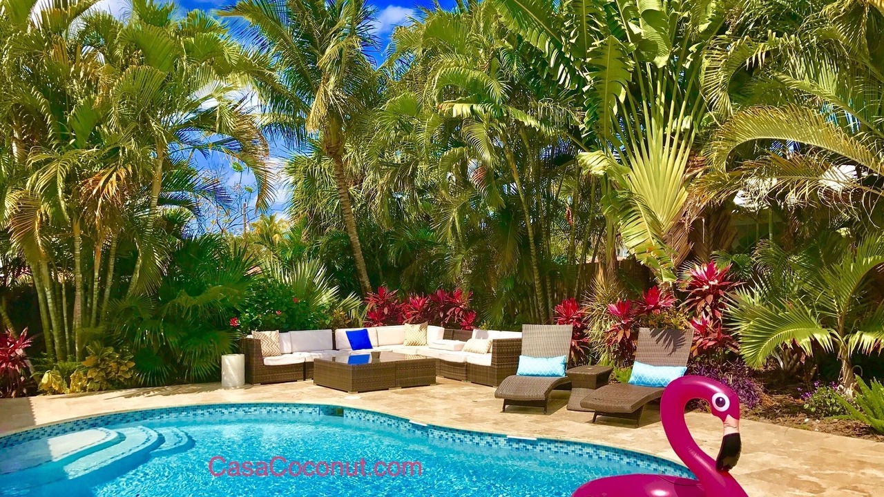 Photo of Outdoor in East Fort Lauderdale
