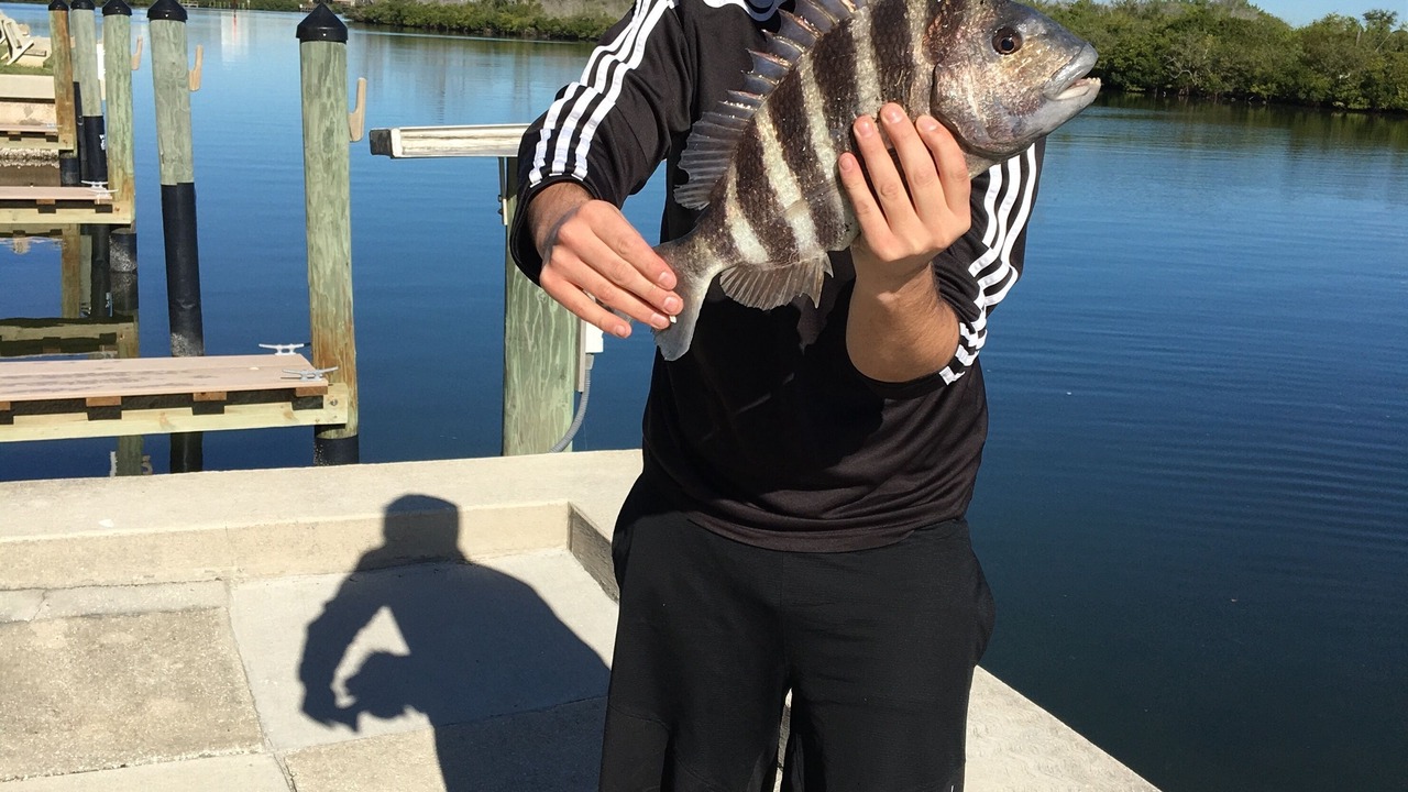 Photo of Others in Seminole