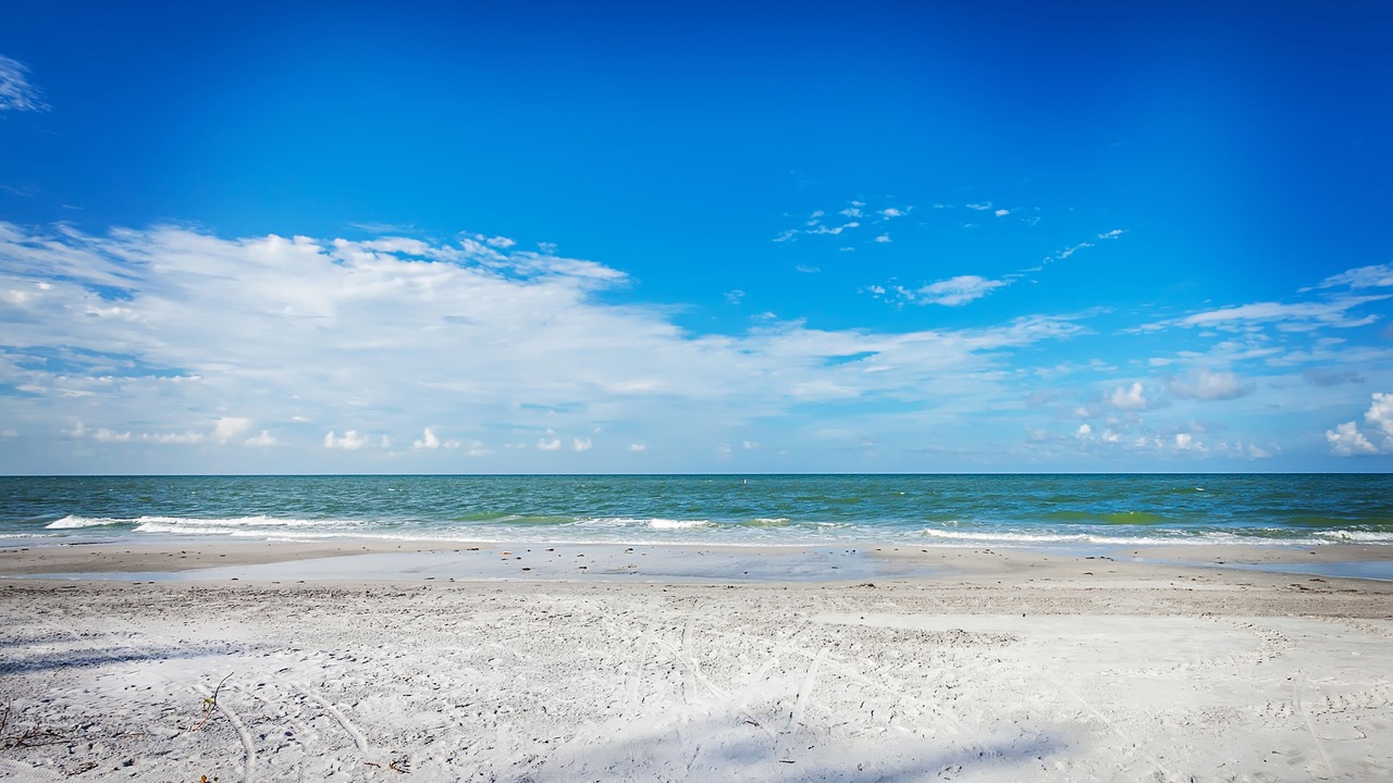 Photo of Others in Seminole