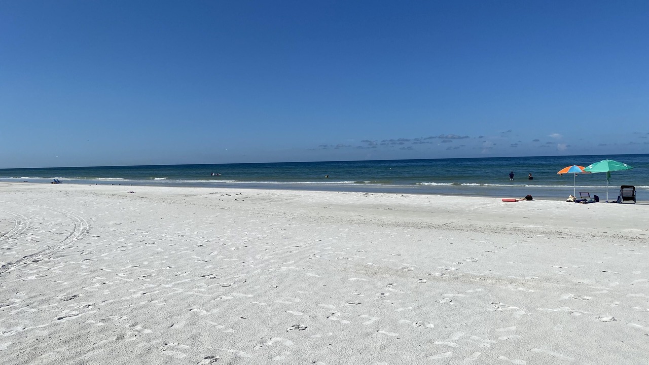Photo of Others in Seminole