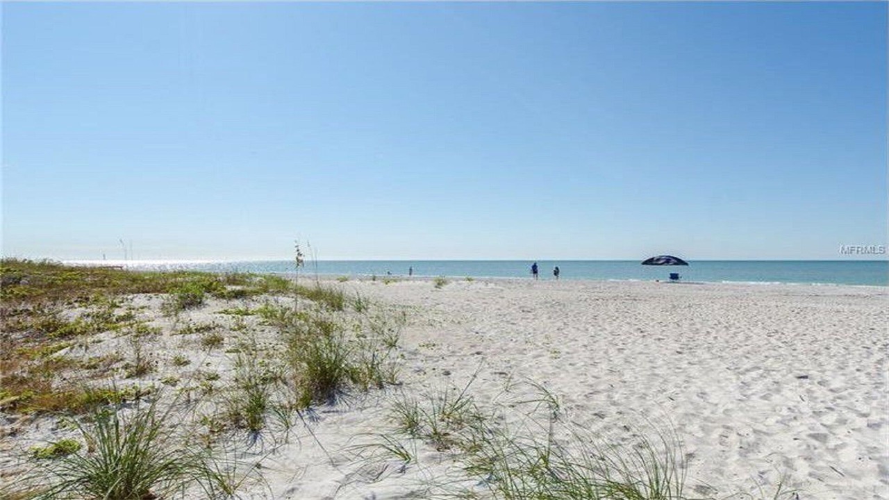 Photo of Others in Indian Shores