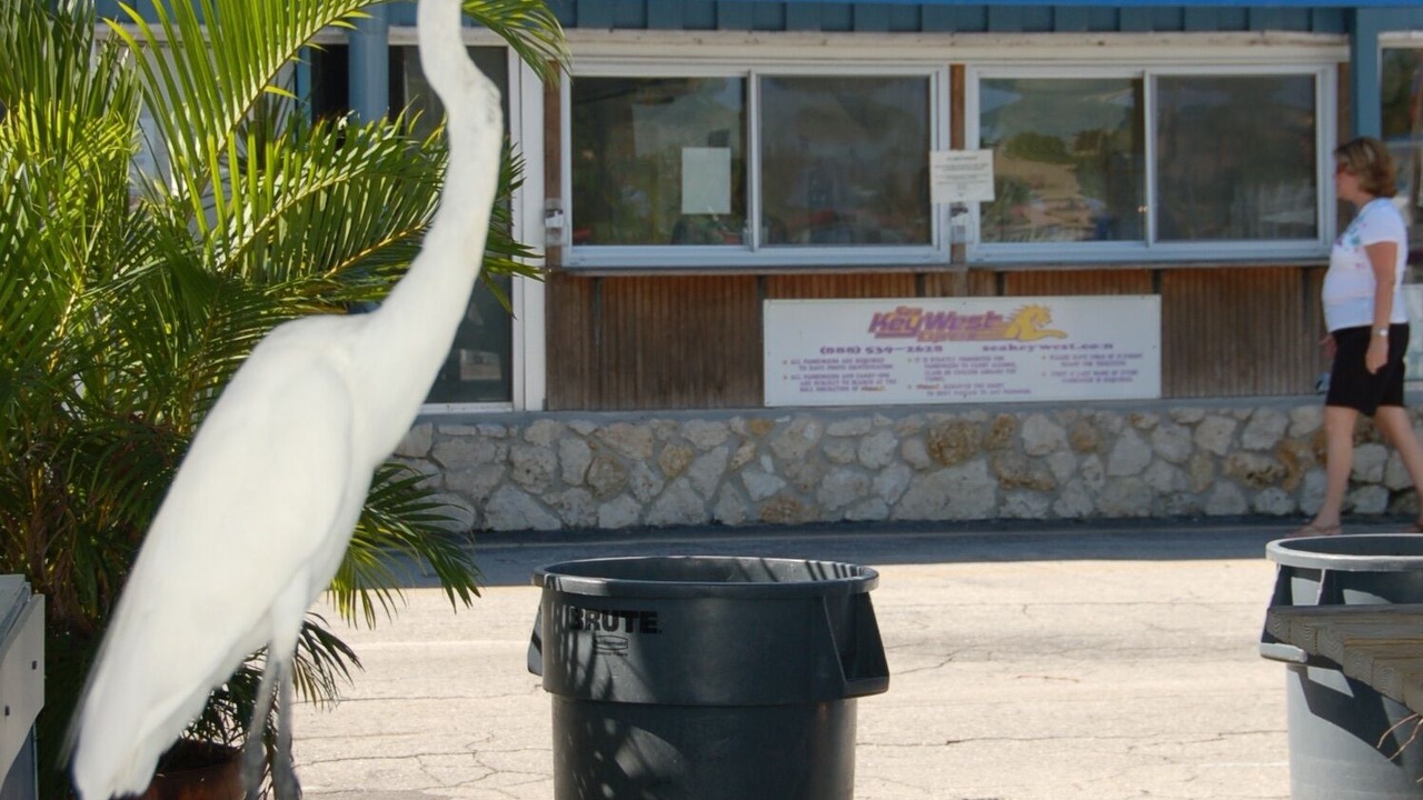 Photo of Others in Marco Island