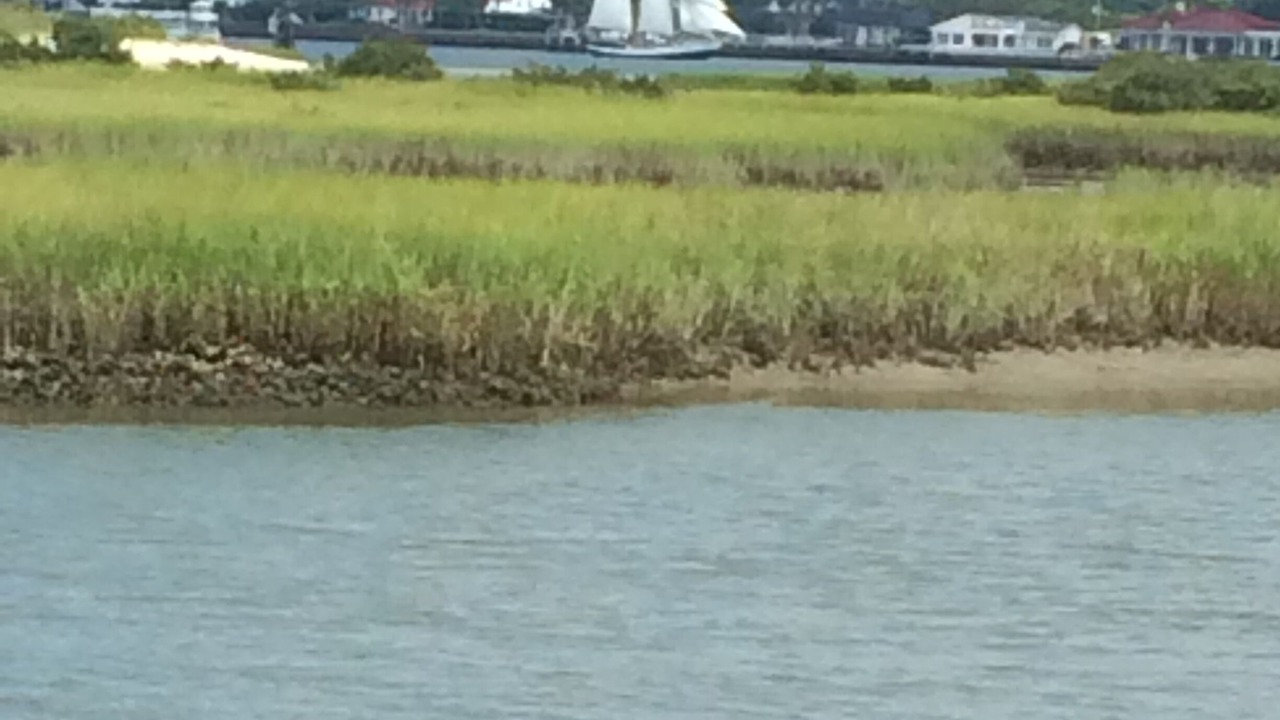 Photo of Others in St. Augustine