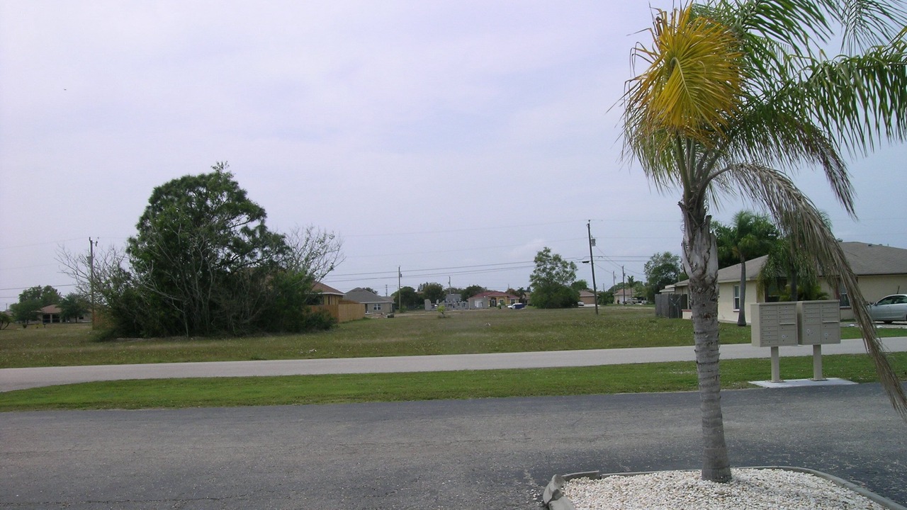 Photo of Others in Pelican